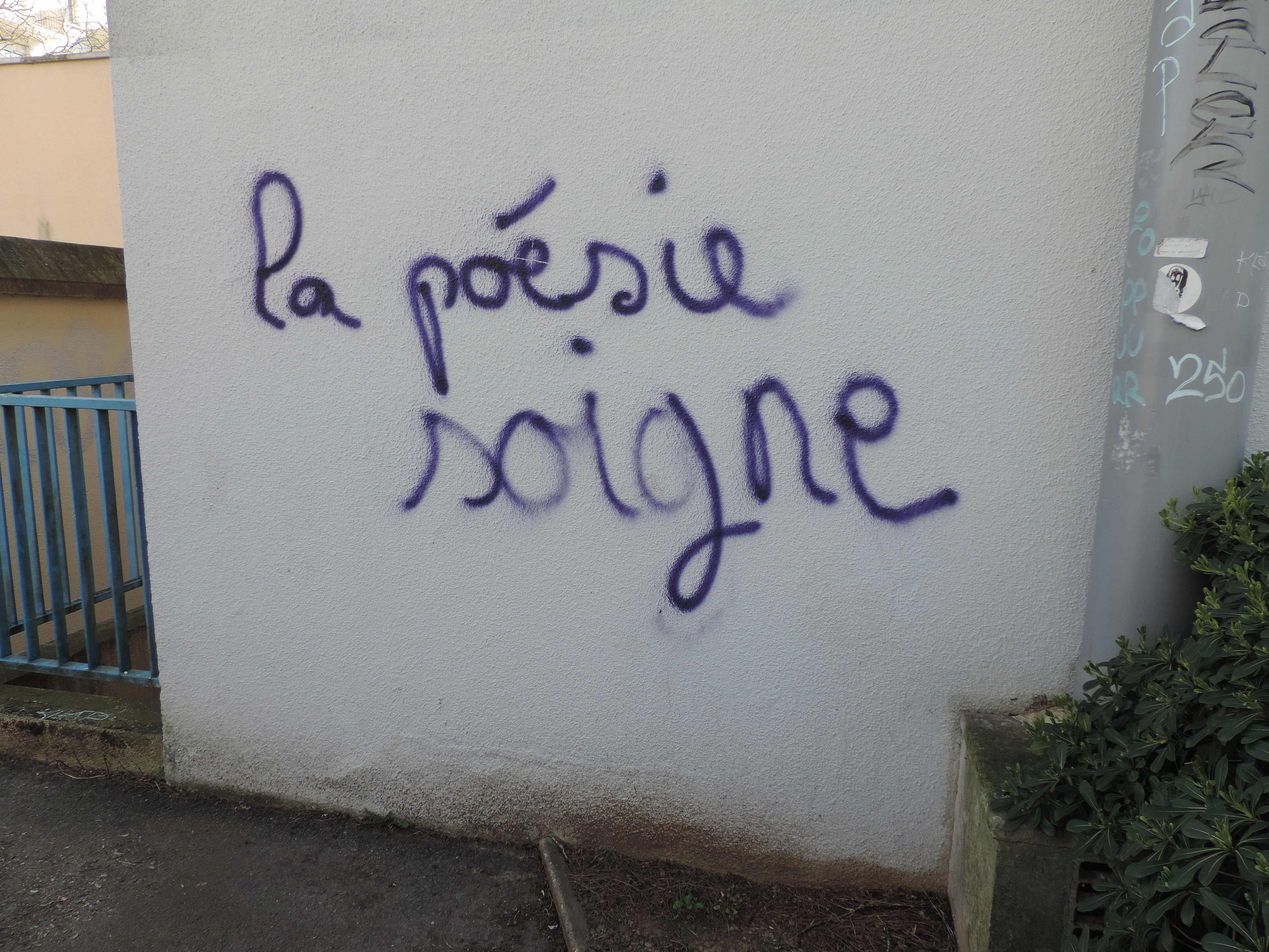 poesie